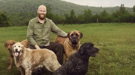 Vies de chiens