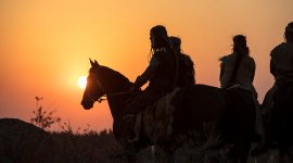 La fabuleuse histoire du cheval