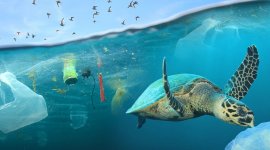 Noyés dans le plastique