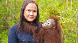 Ces femmes parmi les singes