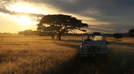 Serengeti, les clés de notre avenir.