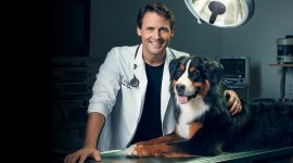 Dr Sébastien, vétérinaire