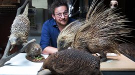 Les super-pouvoirs de la peau