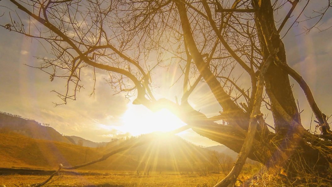 La nature se révolte