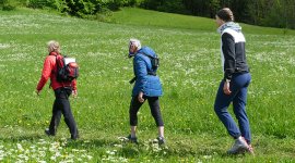 Les fabuleux bienfaits de la marche