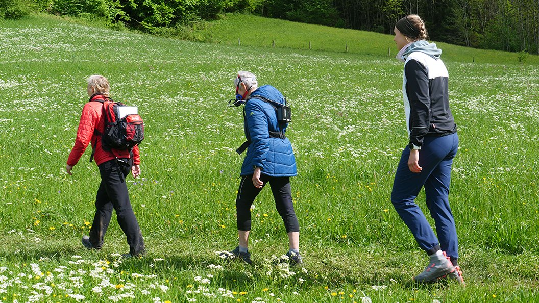 Les fabuleux bienfaits de la marche