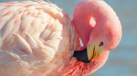 Les couleurs de la nature