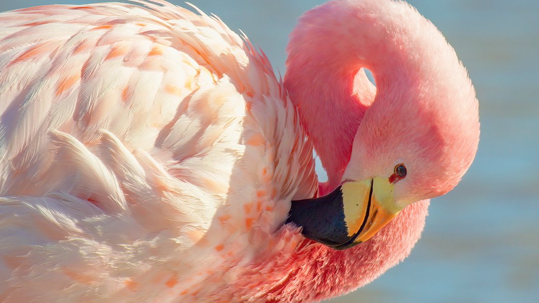 Les couleurs de la nature