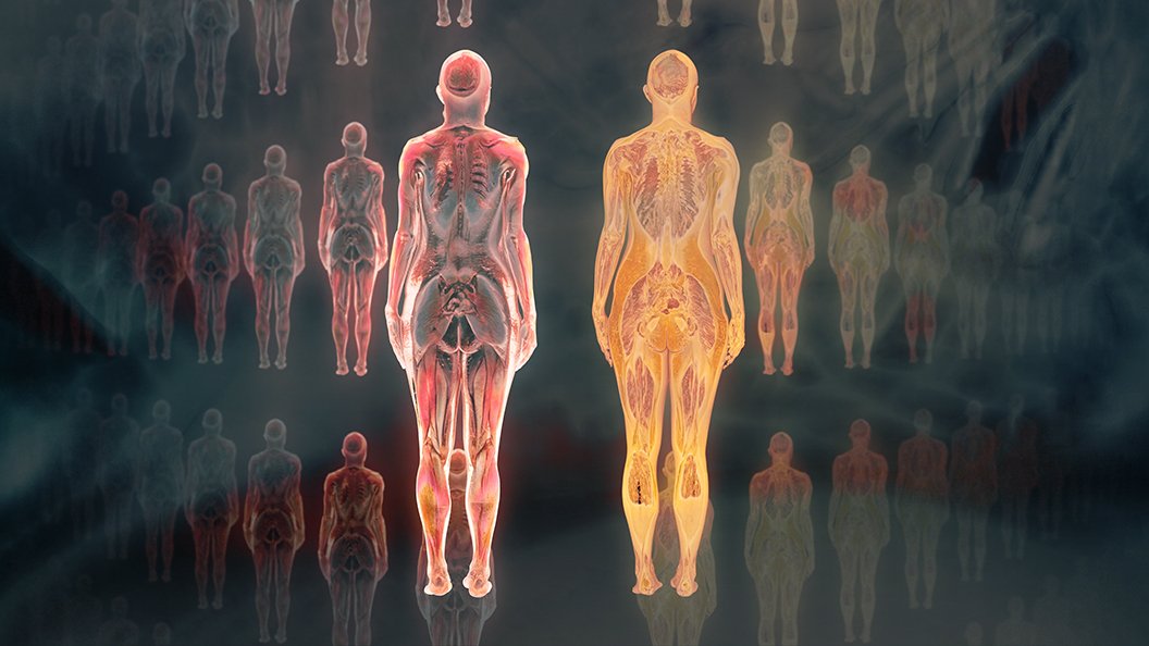 Notre corps, ce réseau social