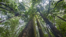 Les derniers paradis sauvages