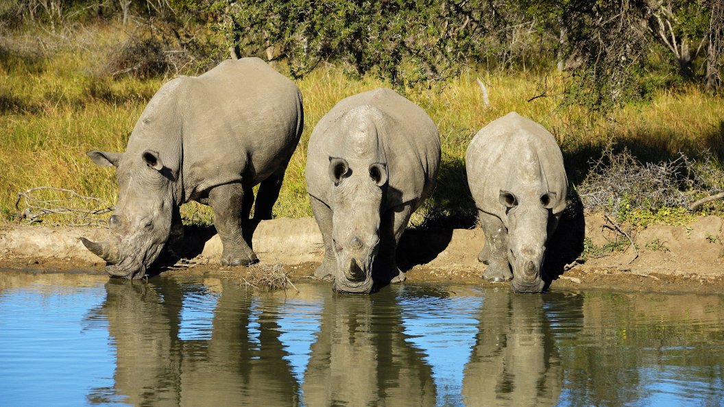 Un espoir pour la nature