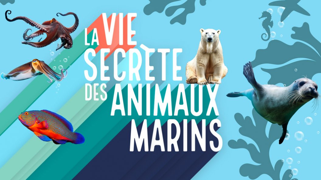 La vie secrète des animaux marins