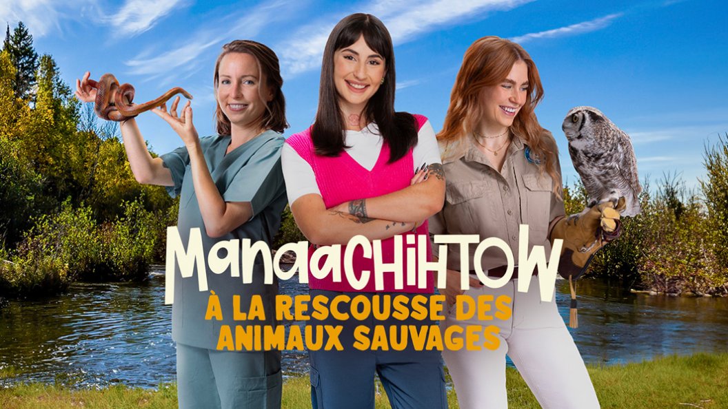 Manaachihtow - à la rescousse des animaux sauvages