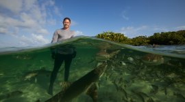 À la rencontre des requins avec Steve Backshall