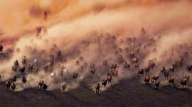La frontière: à la conquête de l'ouest