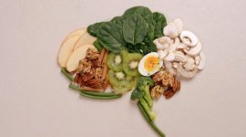 Cerveau, le bonheur est dans l'assiette