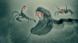 Animaux toxiques: les espèces les plus mortelles
