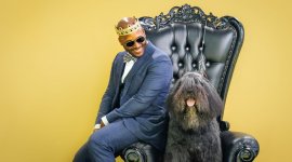 Human footprint, quand l'homme impacte la terre