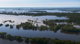 Nature en équilibre