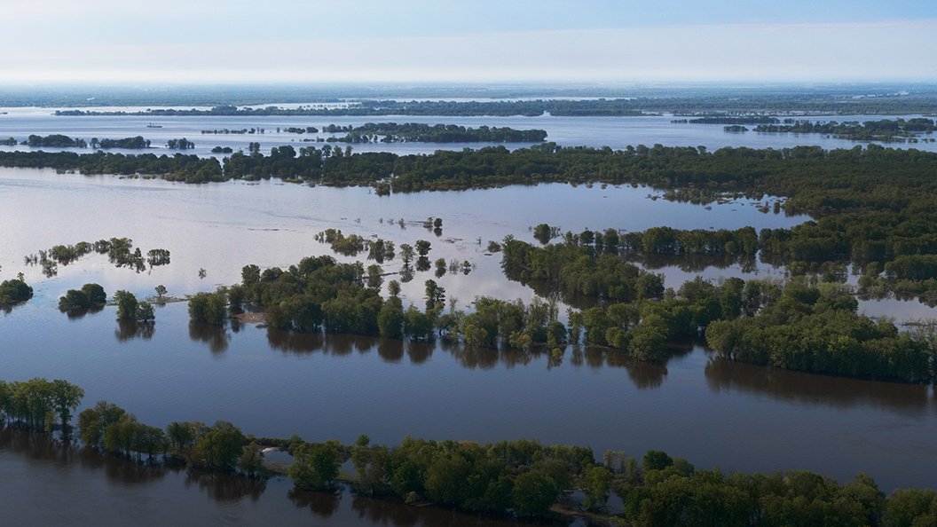 Nature en équilibre