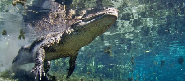 Destination Floride
