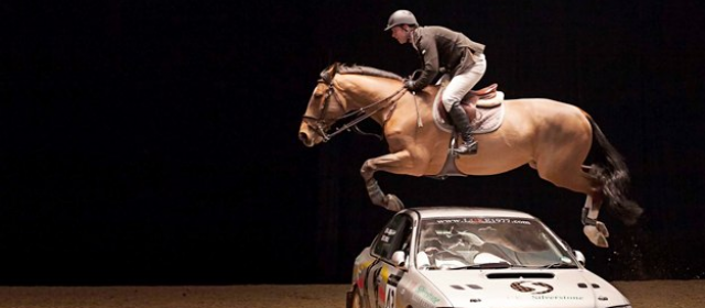 DES CHEVAUX D'EXCEPTION