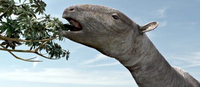 LA RELÈVE DU DINOSAURE