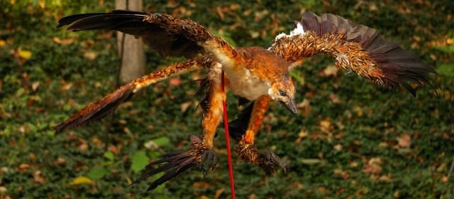 L'ÉNIGME DU DINOSAURE VOLANT
