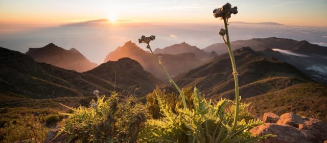 Les îles Canaries