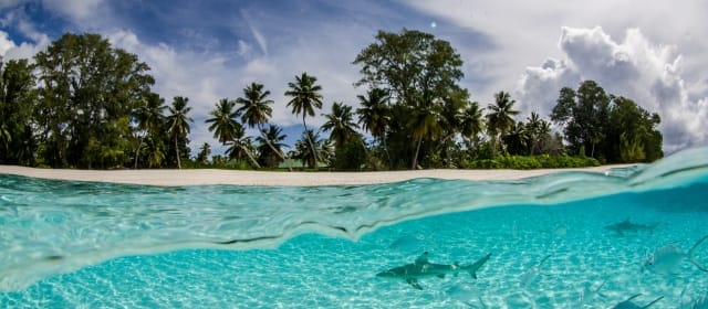 LE SECRET DES SEYCHELLES