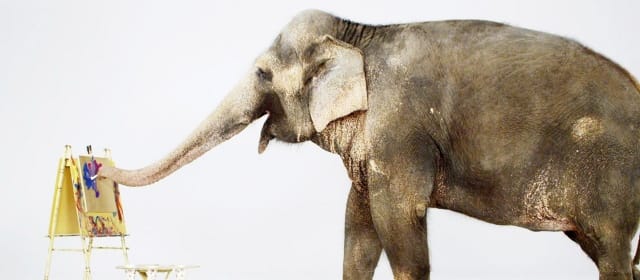 SUPRÊME ANIMAL