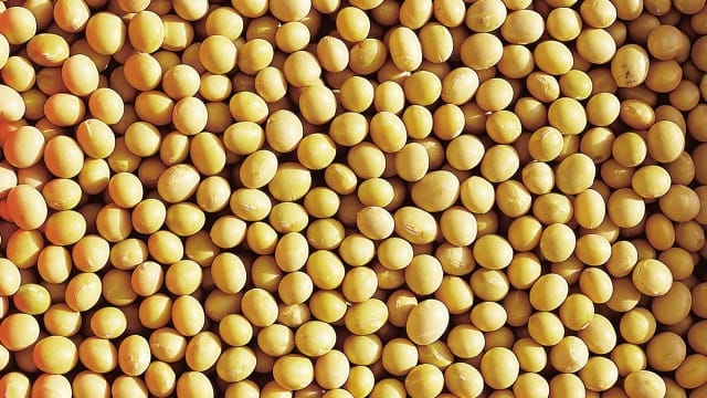 Capsules web Fabuleuses légumineuses