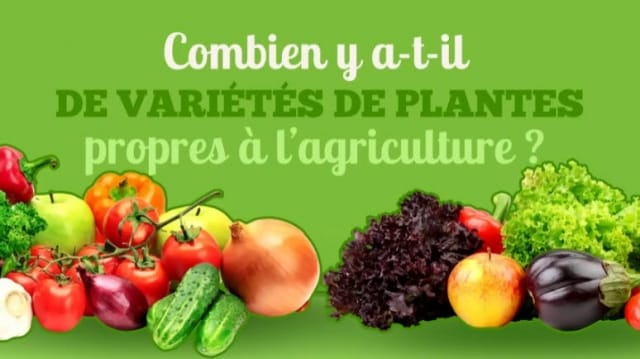 LA SEMAINE VERTE