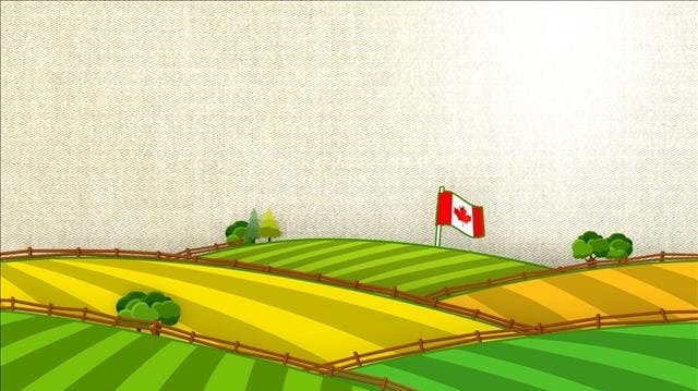 LA SEMAINE VERTE