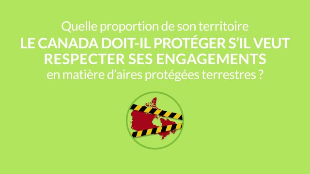 LA SEMAINE VERTE