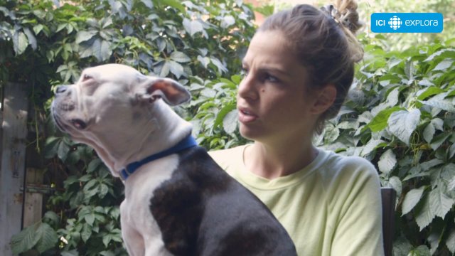 ON S'AIME EN CHIEN