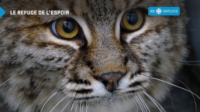 LE REFUGE DE L'ESPOIR