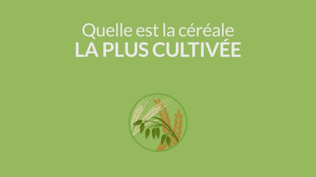 LA SEMAINE VERTE