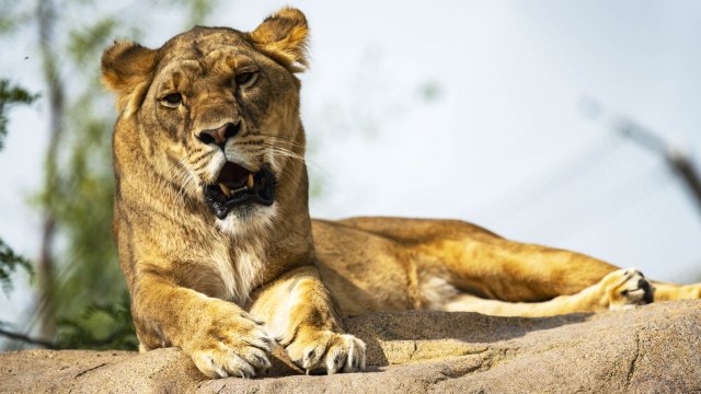 Capsules Caméra EXPLORA