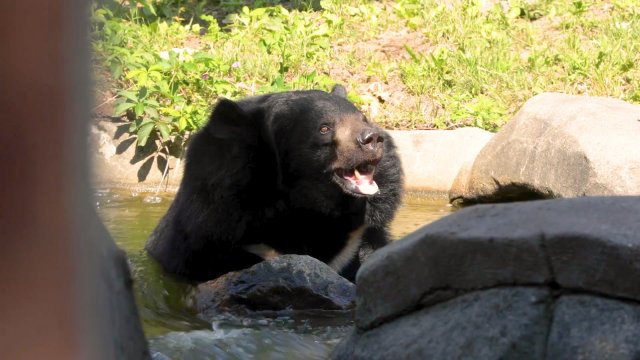 Caméra Explora : destination Zoo de Granby