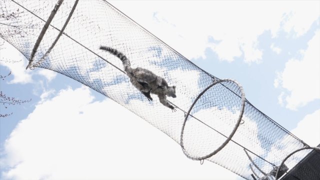 Caméra Explora : destination Zoo de Granby