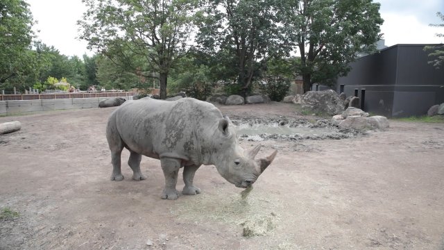 Caméra Explora : destination Zoo de Granby